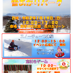 道南四季の杜公園雪あかりパーク