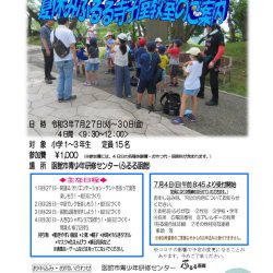夏休み ふるる函館寺子屋教室