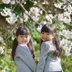 『あつまさ先生の道しるべ vol.9』～幼稚園の是非見てほしい5つのポイント～