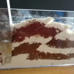 親子科学ワークショップ「地震と揺れのカガク」