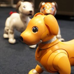 アソベミライ　aiboでビジュアルプログラミング