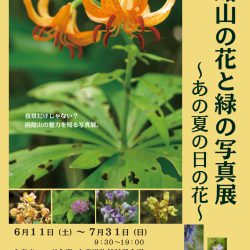 函館山の花と緑の写真館 ～あの夏の日の花～