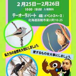 【写真展】私たちの友達の鳥