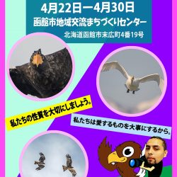 【写真展】私たちの友達の鳥