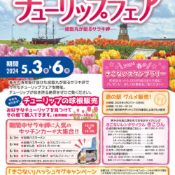 サラキ岬チューリップフェア2024